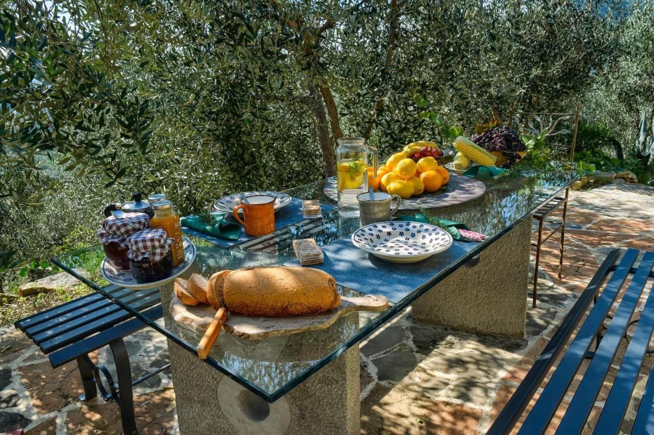 Villa Maria - In The Hills Above Florence Castiglione  Экстерьер фото